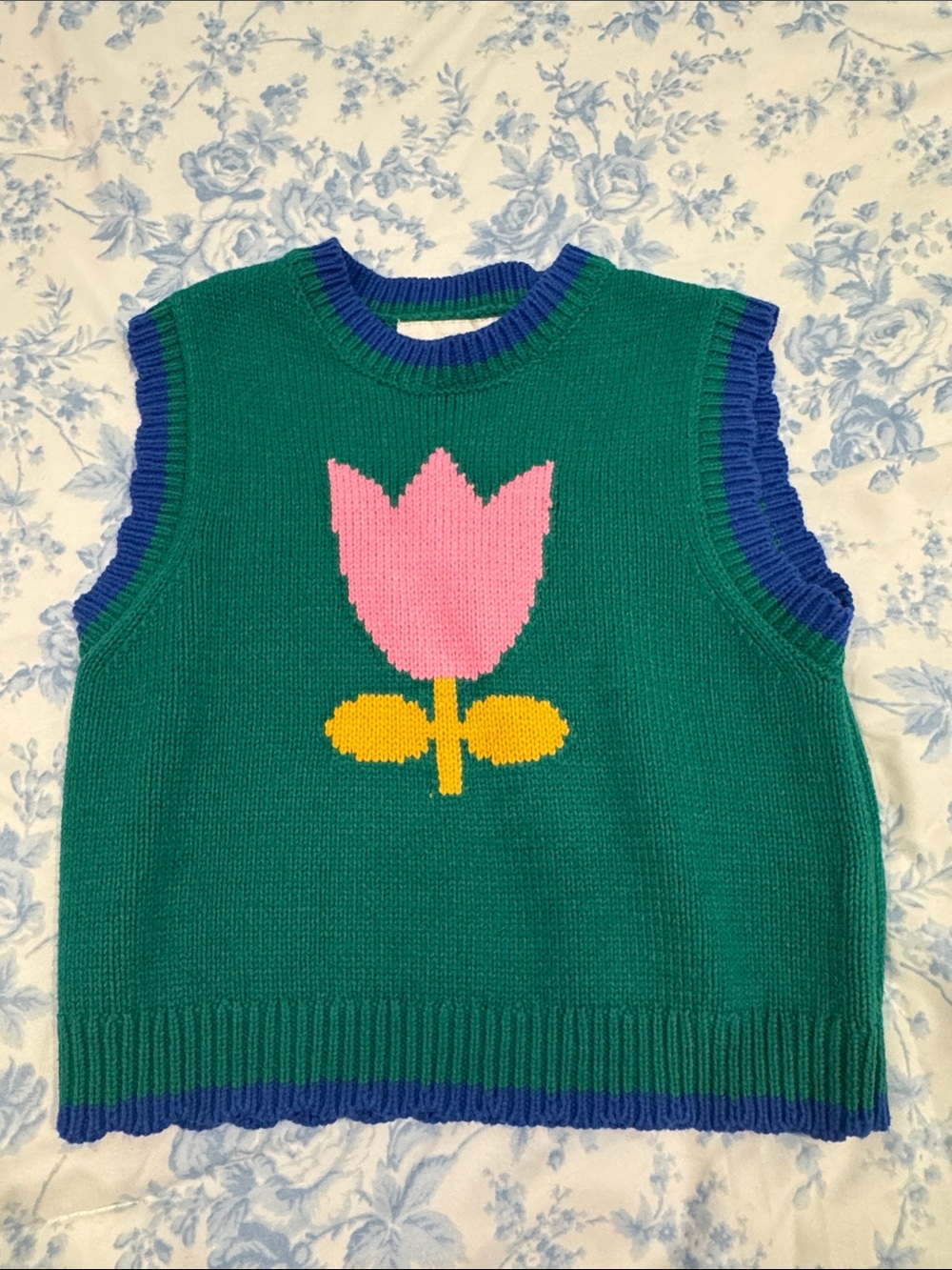 Zara Blue and Green Striped Knit Vest